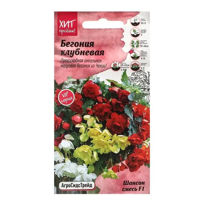 Семена Цветов Бегония  Семена Цветов Бегония "Шансон смесь", 5 шт