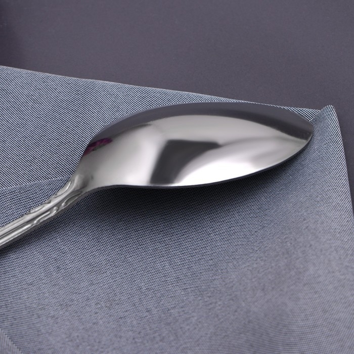 Набор ложек столовых 17,5 см Набор ложек столовых 17,5 см "Соня" 12 шт