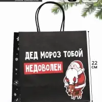 Пакет подарочный новогодний &laquo;Подарок, который ты заслужил&raquo;, 22&times;22&times;11 см