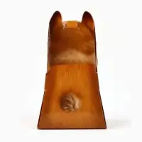 Коробка складная с окном «Корги», 9 х 14 х 6 см