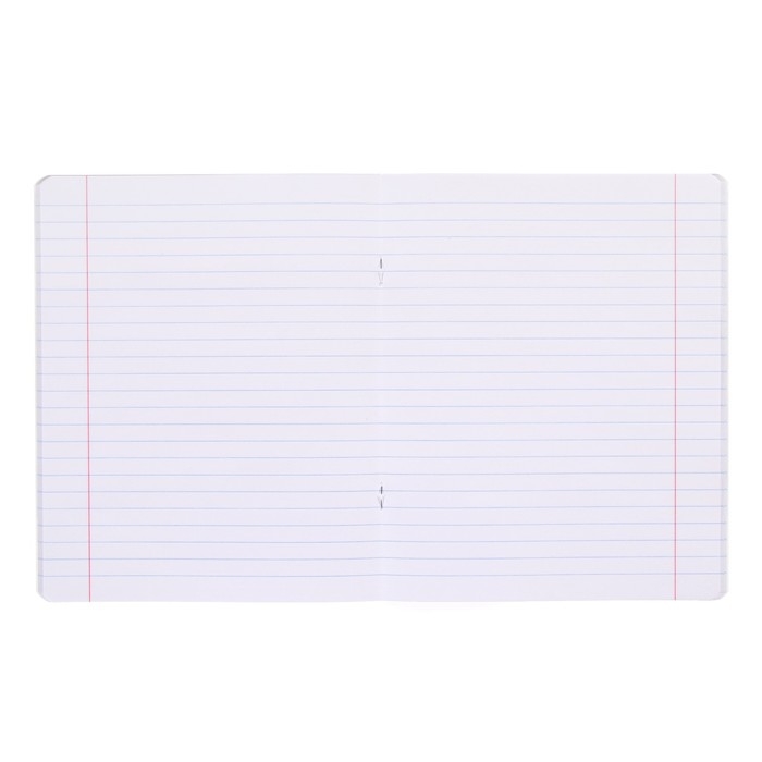 Тетрадь 48 листов в линейку Тетрадь 48 листов в линейку "Пейзажи", обложка мелованный картон, скругленные углы, блок офсет, МИКС