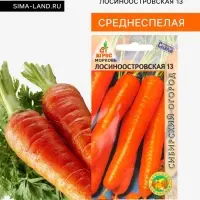 Семена Морковь &laquo;Лосиноостровская 13&raquo;, 2 г, &laquo;Агросс&raquo;