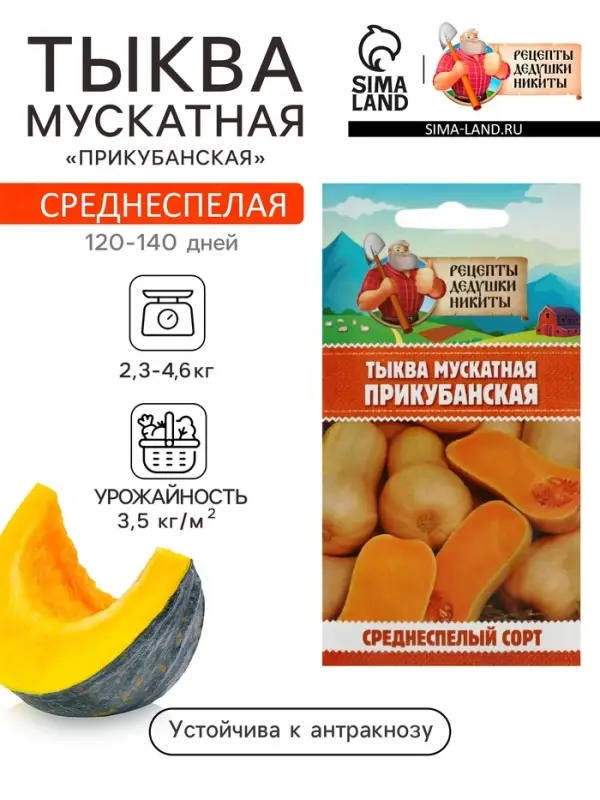 Семена Тыква мускатная "Прикубанская", 2 г