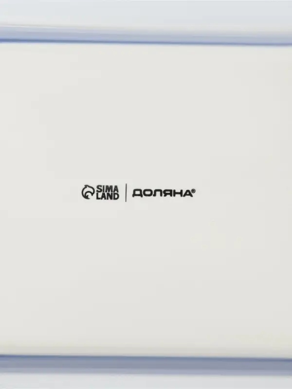 Форма для запекания Доляна &laquo;Космос&raquo;, 700 мл, 23.5&times;13.5&times;4.5 см, прямоугольная, фарфор