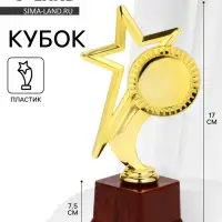 Наградная фигура под нанесение &laquo;Звезда&raquo;, подставка пластик