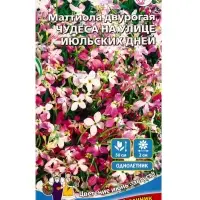 Семена Цветы Маттиола двурогая &laquo;Чудеса на Улице Июльских Дней&raquo; 0.25 г