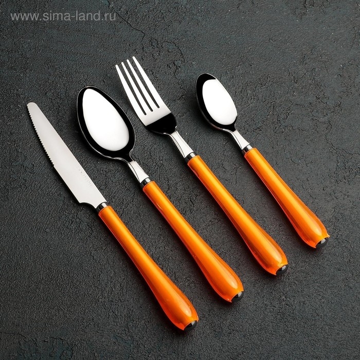 Набор столовых приборов из нержавеющей стали Доляна «Леденцы», 4 предмета, цвет МИКС Набор столовых приборов из нержавеющей стали Доляна «Леденцы», 4 предмета, цвет МИКС