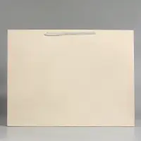 Пакет ламинированный горизонтальный "Молочный", XXL 61 х 46 х 20 см Пакет ламинированный горизонтальный "Молочный", XXL 61 х 46 х 20 см