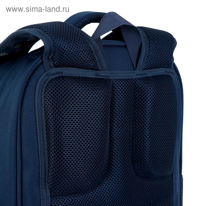 Рюкзак школьный Bruno Visconti, 40 х 30 х 16 см, эргономичная спинка, «Еноты, сердечки» Рюкзак школьный Bruno Visconti, 40 х 30 х 16 см, эргономичная спинка, «Еноты, сердечки»