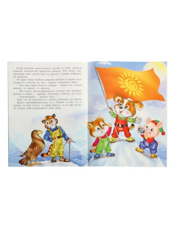 Книга Книга "Покорители вершин", 16 стр, Гурина И. В.