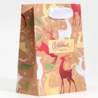 Пакет подарочный новогодний крафтовый «С Новым годом», S 12×15×5.5 см Пакет подарочный новогодний крафтовый «С Новым годом», S 12×15×5.5 см