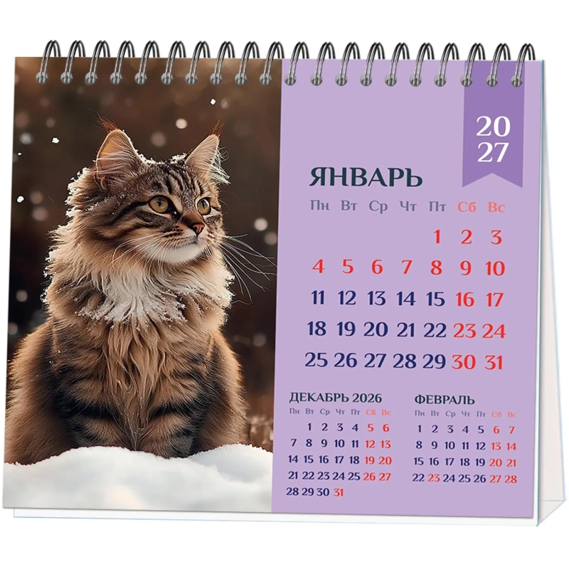 Календарь-домик настольный 2027 Котенок 120х110мм спираль 7л