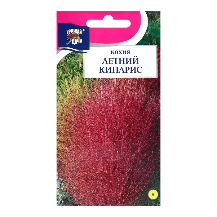 Семена цветов Кохия  Семена цветов Кохия "Летний кипарис", 0,2г