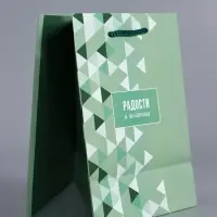 Пакет подарочный ламинированный &laquo;Радости и позитива&raquo;, зелёный, 18&times;22.3&times;10 см