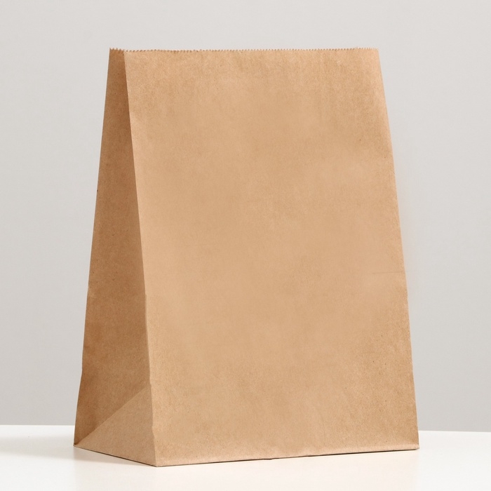 Пакет крафтовый, бумажный, фасовочный, прямоугольное дно, 20 шт., 22 х 12 х 29 см, 70 г/м2 Пакет крафтовый, бумажный, фасовочный, прямоугольное дно, 20 шт., 22 х 12 х 29 см, 70 г/м2