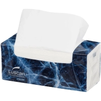 Полотенца бумажные листовые Luscan Professional 2-слойные 200 лист / уп