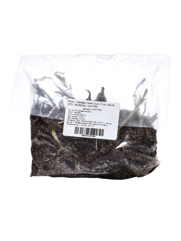 Флокс "Джеффс Пинк" р-р I, 2 шт, Весна 2025, ЭКОНОМ,