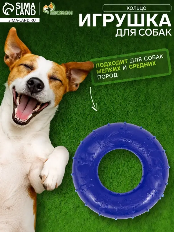 Жевательная игрушка для собак &laquo;Кольцо&raquo;, 6.7&times;2 см, прозрачная, PP, синяя