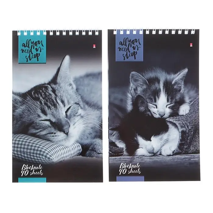 Блокнот &laquo;Альт. Кошки&raquo;, А5, 40 листов, на гребне, МИКС