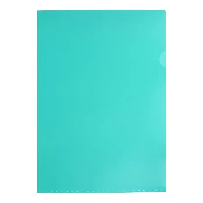 Папка-уголок, А4, 180 мкм, Calligrata, прозрачная, пастельная, мятная Папка-уголок, А4, 180 мкм, Calligrata, прозрачная, пастельная, мятная