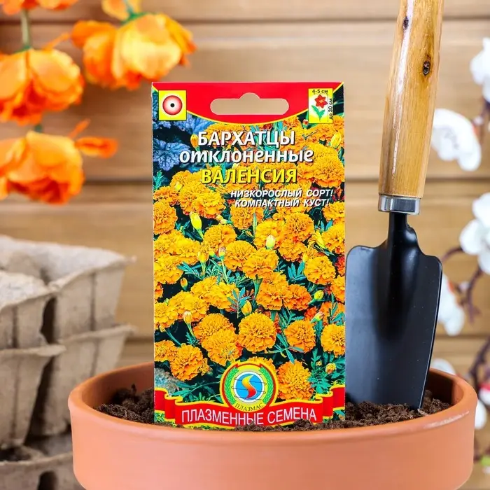 Семена Бархатцы низкорослые  Семена Бархатцы низкорослые "Валенсия", 45 шт