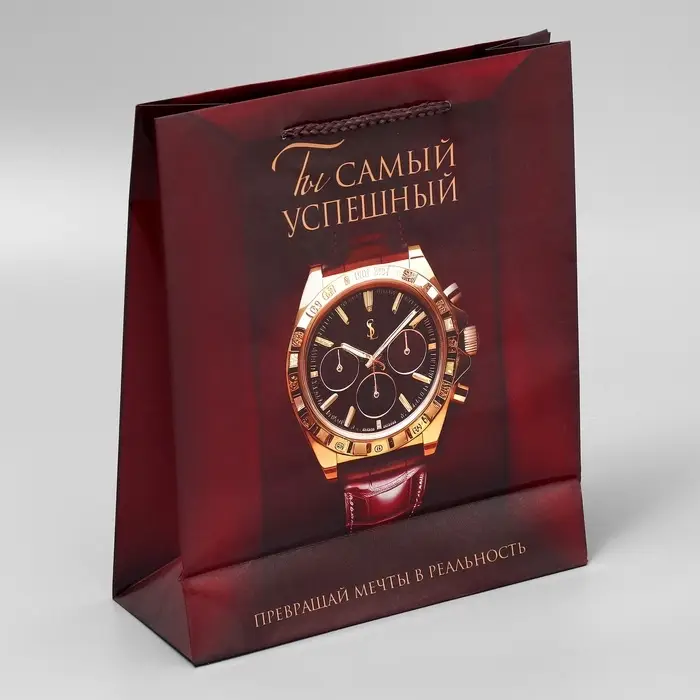 Пакет подарочный ламинированный, упаковка, «Успех», ML, 25 х 21 х 8 см Пакет подарочный ламинированный, упаковка, «Успех», ML, 25 х 21 х 8 см