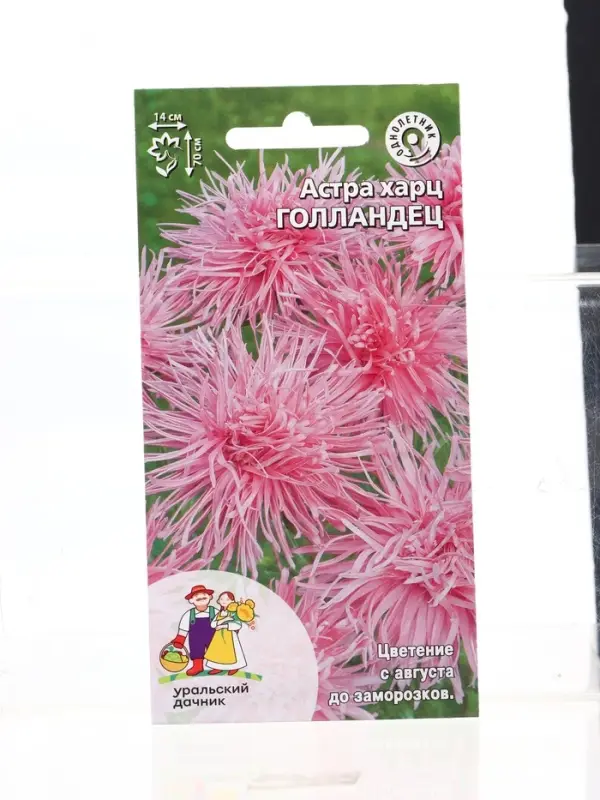 Семена Цветы Астра харц Голландец (УД) Е/П , Е/П,  0,2 г.
