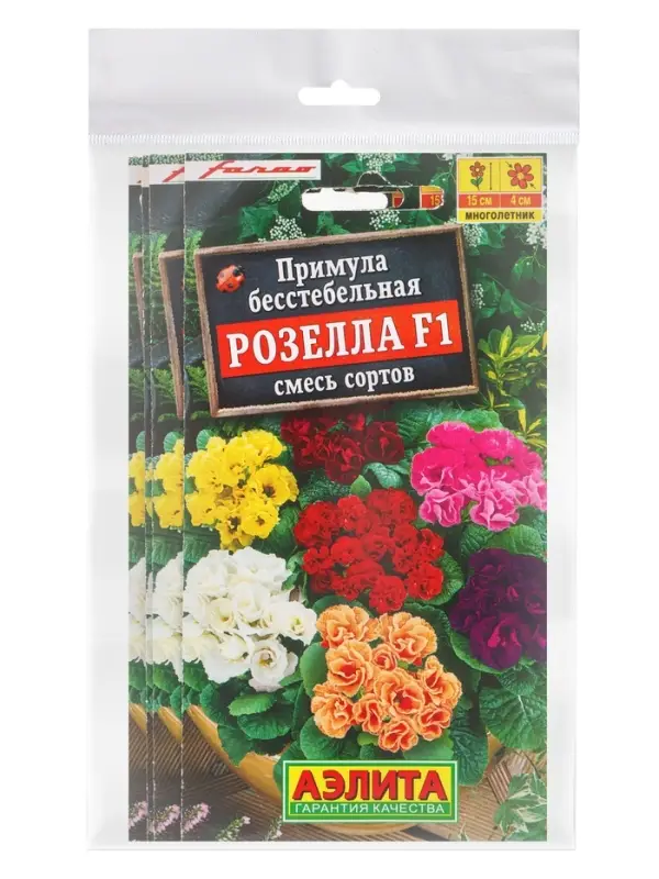 Набор семян Примула &laquo;Розелла&raquo;, смесь окрасок, F1, 4 шт., &laquo;Мой выбор&raquo;