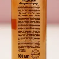 Гель для душа, 100 мл, аромат пряный эль, Чистое счастье