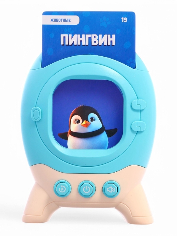 Обучающий набор с карточками, русская озвучка, 60 карточек Обучающий набор с карточками, русская озвучка, 60 карточек