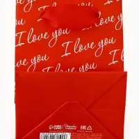 Пакет ламинированный Love you, 9 × 12 × 6,5 см Пакет ламинированный Love you, 9 × 12 × 6,5 см