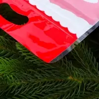 Пакет подарочный, с zip-lock застежкой, "Дед Мороз", 15х23 ± 1см.