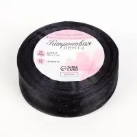 Лента капроновая &laquo;Горох&raquo;, 25 мм, 23&plusmn;1 м, чёрная