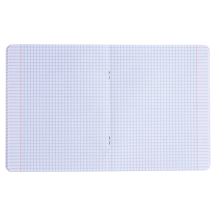 Тетрадь 48 листов в клетку Тетрадь 48 листов в клетку "Аниме глаза", обложка мелованный картон, SoftTouch, текстура, МИКС