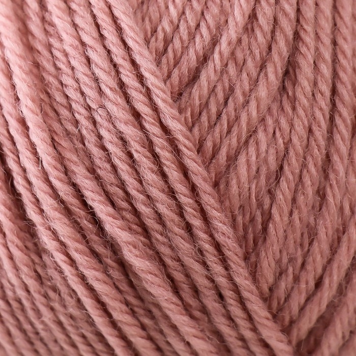 Пряжа для вязания спицами, крючком «Пехорский текстиль. Элегантная», 100% мериносовая шерсть, 250 м/100 г, (1225 пыльная роза) Пряжа для вязания спицами, крючком «Пехорский текстиль. Элегантная», 100% мериносовая шерсть, 250 м/100 г, (1225 пыльная роза)