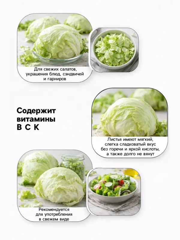 Семена Салат &laquo;Айсберг&raquo; кочанный, 0.5 г, &laquo;Аэлита&raquo;