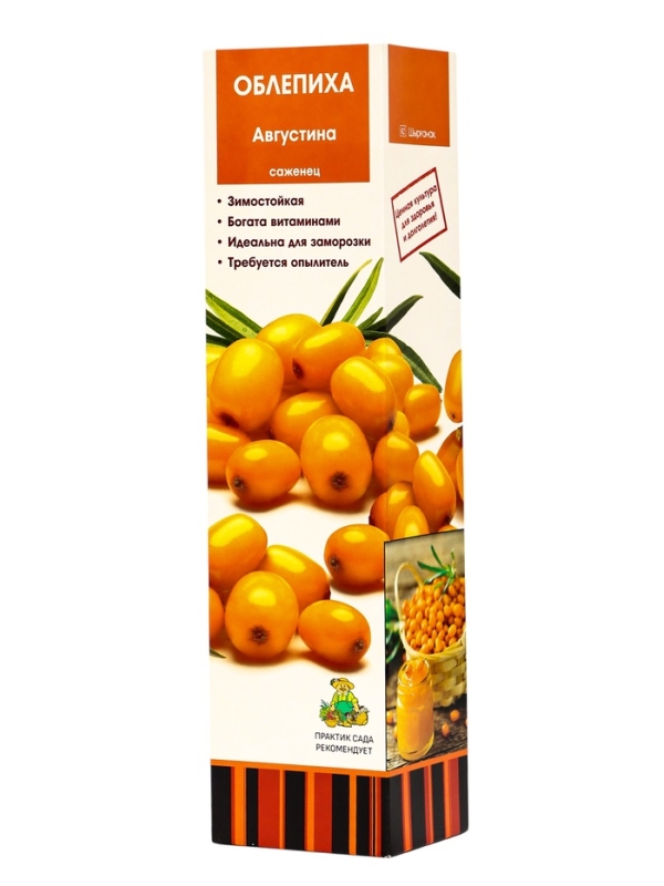 Облепиха Облепиха "Августина", туба, 1 шт, Весна 2025
