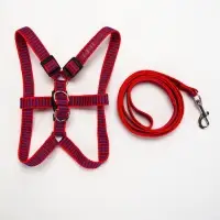 Комплект амуниции рельефный, поводок 120&times;1.5 см, ОГ 36-49 см, красно-синий