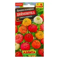 Набор семян Цинния "Дюймовочка", смесь окрасок, О, 5 шт. Набор семян Цинния "Дюймовочка", смесь окрасок, О, 5 шт.