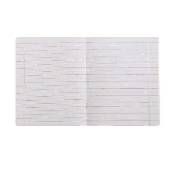 Тетрадь 18 листов в линию Calligrata "Еноты", обложка мелованный картон, ВД-лак, блок офсет, белизна 95%, МИКС