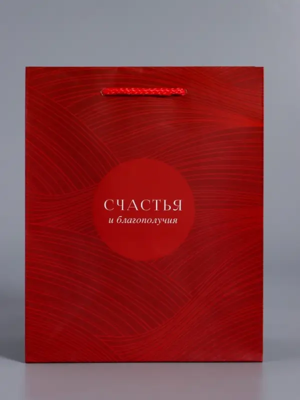 Пакет подарочный "С уважением!" ламинированный 18 х 22,3 х 10 см