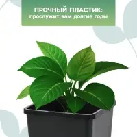 Горшок для рассады, 2 л, 12&times;12&times;17 см, пластик, чёрный