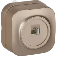 GLORY Розетка для открытой установки компьютерная RJ45 кат.5E РК10-ХШм шампань матовый IEK
