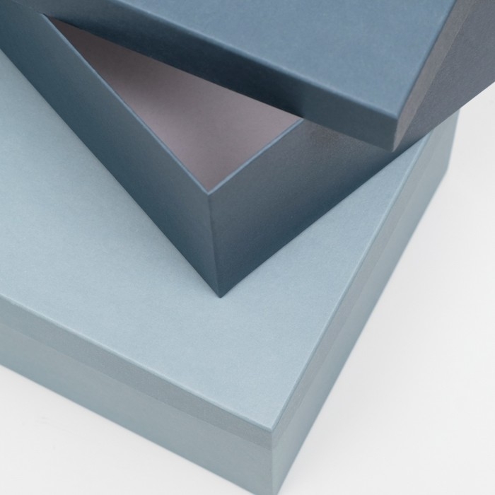 Набор коробок 10 в 1  Набор коробок 10 в 1 "Барракуда" 30,5 х 20 х 13 - 12 х 6,5 х 4 см