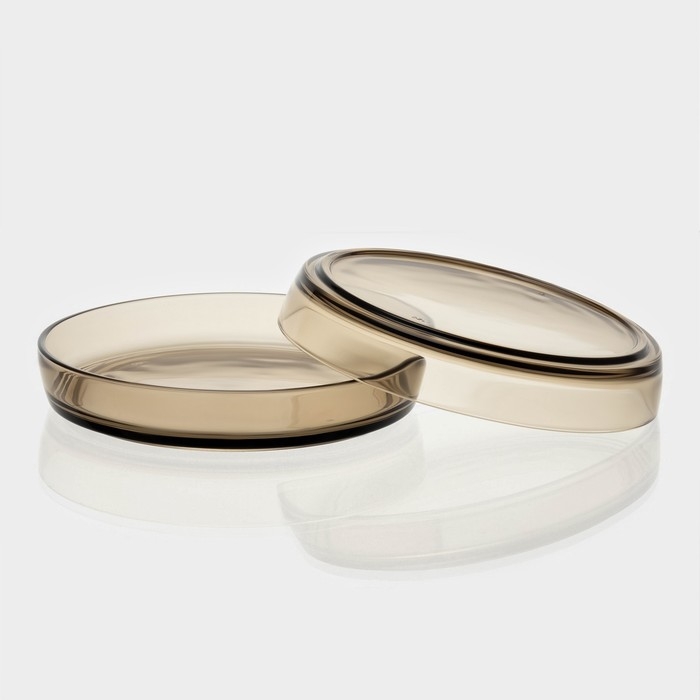 Набор стеклянных тарелок «Дымка», 5 предметов: 2 тарелки d=18,3 см, 3 тарелки d=19,8 см Набор стеклянных тарелок «Дымка», 5 предметов: 2 тарелки d=18,3 см, 3 тарелки d=19,8 см