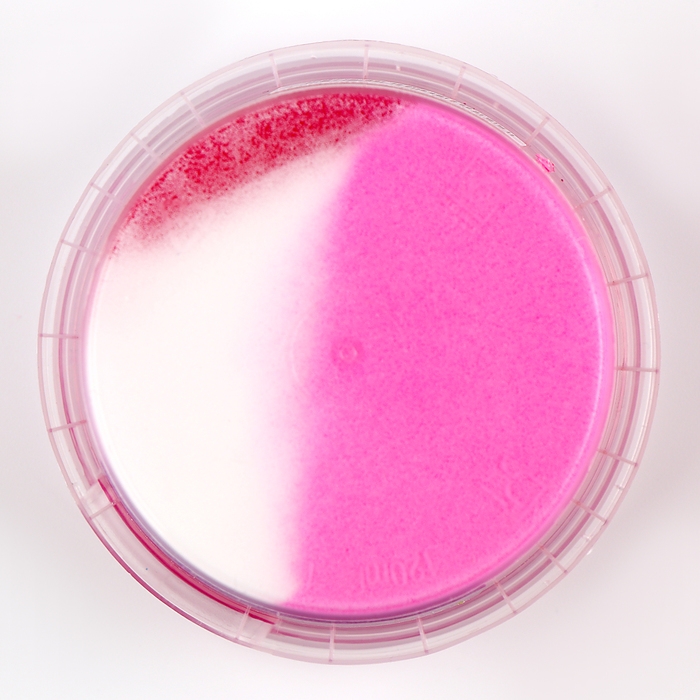 Слайм «Зефирка», цвет белый и ежевика 100 г Слайм «Зефирка», цвет белый и ежевика 100 г