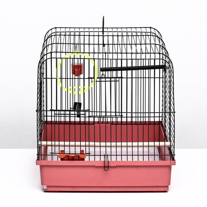 Клетка Клетка "Грация", 2 яруса, 50 х 37 х 37 см, микс цветов