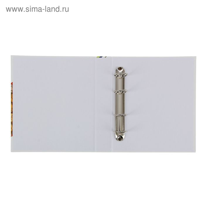 Альбом для монет "Современные монеты", 230 х 270 мм, Optima, без листов