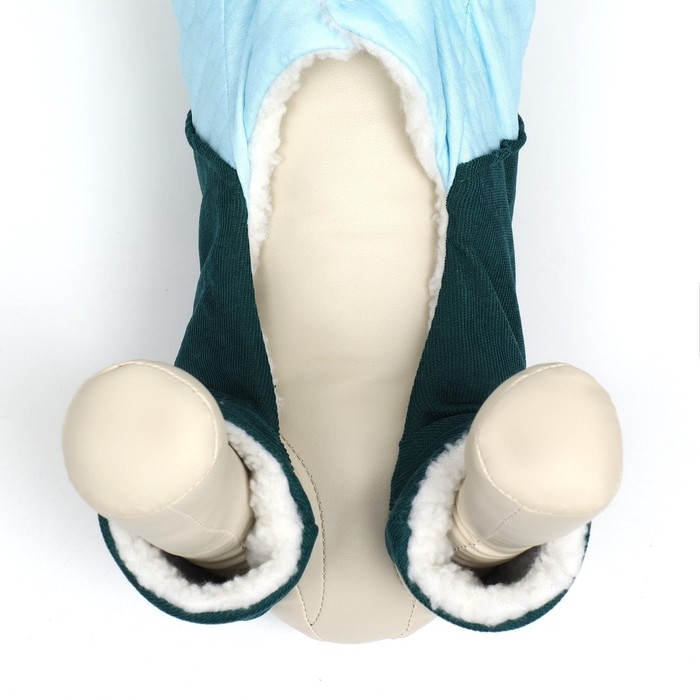 Комбинезон Комбинезон "Oops", размер XS (ДС 20 см, ОГ 30 см, ОШ 20 см), зелёный