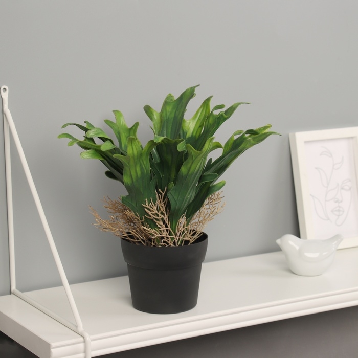 Бонсай в горшке Бонсай в горшке "Калла премиум экстра" 24х10,5 см, микс